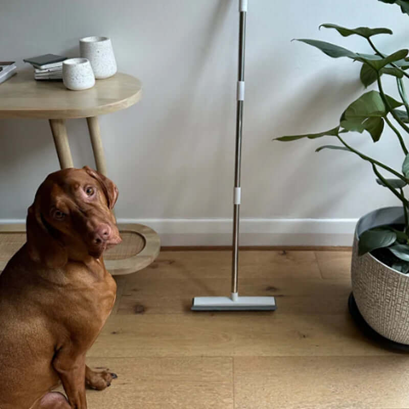 FurAway Pet Hair Broom & Brush + 3 Free Gifts
